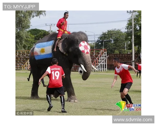 当今足球界最强球员是谁谁能称霸绿茵场成为无可匹敌的传奇巨星